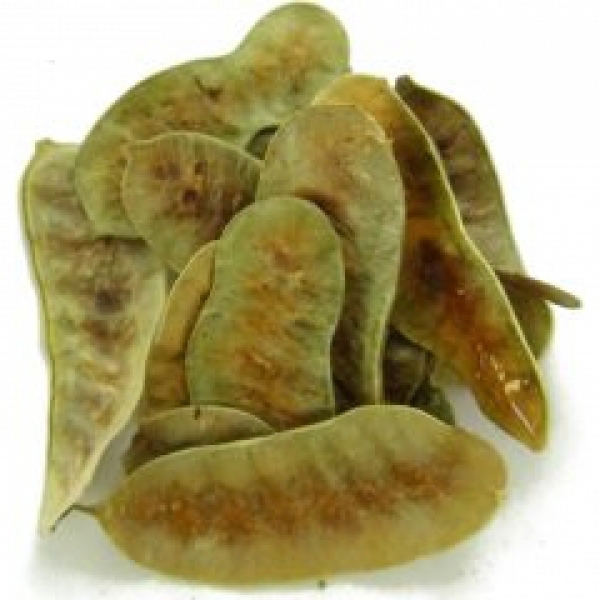 Senne Peulen Thee bestellen Senne Peulen Thee bestellen